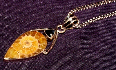 Anhänger Ammonit mit Onyx, Fossil, mit Kette versilbert, 4,3g  34x15x4mm - Bild 1 von 4