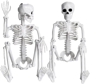 2 Pcs Skeleton Halloween Decoration 16” Full Body Posable Movable Joint Decor - Picture 1 of 8