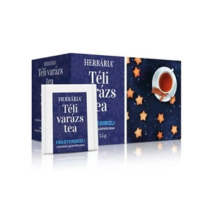 Blackcurrant 100% Natural Fruit and Herbal Tea Flavoured Seasonal Winter Tea - Picture 1 of 2