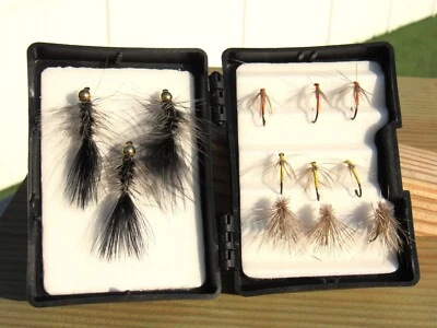Caddis Fly Box con 12 moscas nuevas sin usar Foto 1 de 3