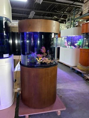 Acuario de vidrio medio redondo de 60 galones listo para arrecife con soporte y dosel Foto 1 de 4