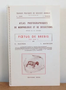 Schafsfötus I. Matricon und C. Ducros 1967 Fotoatlas - Bild 1 von 6