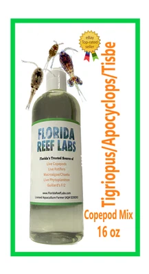 Live Copepods (TISBE/TIGRIOPUS - tig/Tigrio/APOCYCLOPS) 16oz Florida Reef Labs® - Image 1 of 4