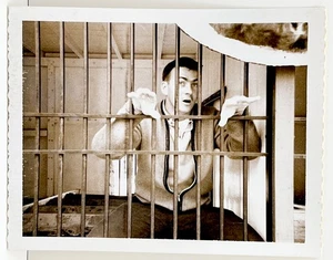 1950s Handsome Funny Man Behind Jail Bars Vintage Polaroid Snapshot Photo - Picture 1 of 4