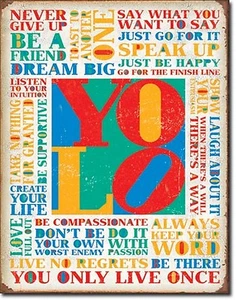 You Only Live Once YOLO TIN SIGN rustic metal quote poster bar wall decor - Picture 1 of 8