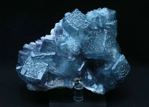 361,7 g Raro Belleza Cubo Azul Púrpura Cristal Fluorita Espécimen Mineral/China - Imagen 1 de 12