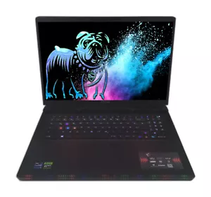 MSI Raider GE78 HX 17" Notebook WQXGA 240Hz i9-14900HX 32GB DDR5 2TB RTX 4090 - Bild 1 von 6