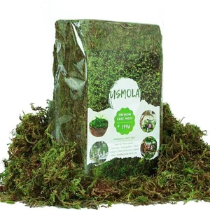 Artificial Moss for Plants Indoor 16OZ Fake Moss for Crafts Decorative Moss f... - Picture 1 of 7
