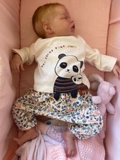 reborn Twin b Little Dragonfly Nursery