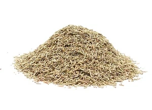 Rosemary Herb Fine Cut Uniform Size Free Flowing Culinary Herbs - 8 Ounces - Picture 1 of 1