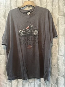 Camiseta Texas Harley Davidson Dfw Talla X Lg - Imagen 1 de 11