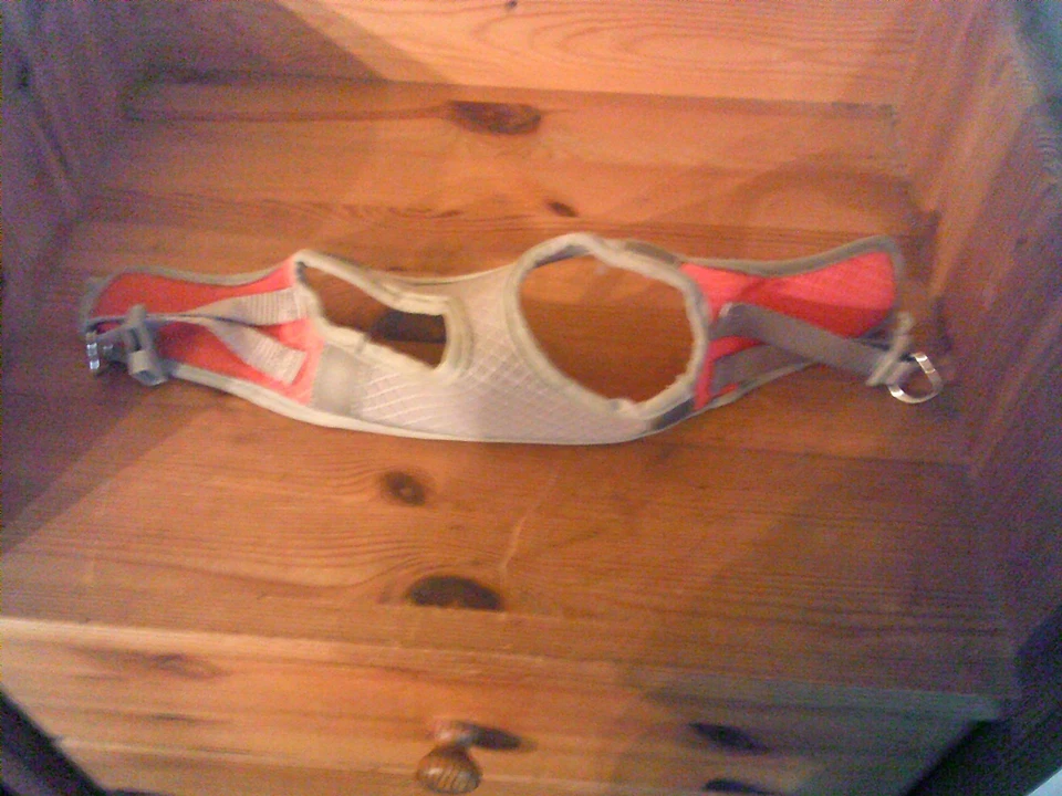 Katzengeschirr/Hundegeschirr ohne Leine - grau - Bild 1 von 1