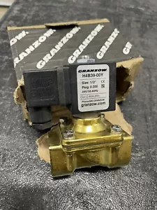 Granzow E Series 1/2 in. Normally-Closed Brass Solenoid Valve H4B39-00Y - Picture 1 of 2