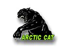 2 'Bad Kitty' Snowmobile Sled 12" Decals for Trailer Vinyl Graphic
