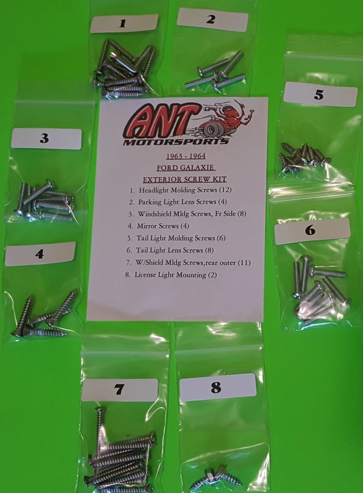 KIT DE TORNILLOS EXTERIORES FORD GALAXIE 1963-1964 55 piezas. Foto 1 de 1