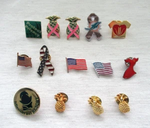 Lot of 14 Assorted Souvenir and Patriotic Pins - Some New AND Some Pre-Owned - Picture 1 of 5