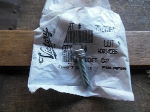 #EV Victory Polaris Screw (1) ACE 570 RZR 4 XP jagged side by side 7517361 - Picture 1 of 2