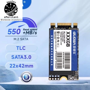 M2 SATA 2242 SSD SATA3 1TB 128GB 256GB 512GB NGFF SSD TLC for Laptop Destop Thin - Picture 1 of 9