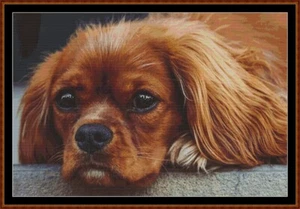 SLEEPY PUP 1 cross stitch pattern (punto cruz) (pe - Picture 1 of 5