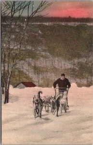 Postal de colección de 1930 Pennsylvania Poconos "Mushing at Skytop Lodge" equipo de perros - Imagen 1 de 2
