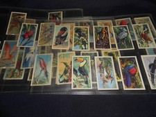43 DIFFERENT 'TROPICAL BIRDS' BROOKE BOND TEA CARDS 1961