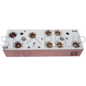 New In Box SEMIKRON SKiiP83AHB15T1 Power Supply Module - Picture 1 of 3