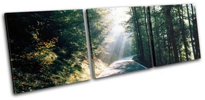 Forest Road Landscapes TREBLE CANVAS WALL ART Picture Print VA - Picture 1 of 1