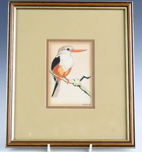 Original Bird Painting by C E Talbot Kelly - Ornithological Artist (1959) Framed - Picture 1 of 3