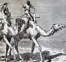 Col Baker Camel Travel Berber 1890 Woodcut Victorian Stanley In Africa DWAA2D