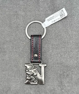 Disneyland Paris LETTER N Keychain - Picture 1 of 3