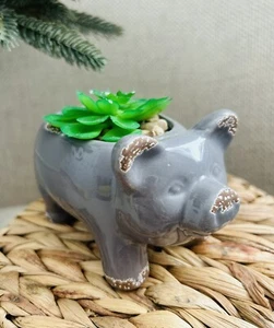 Ceramic Grey Gray Pig Faux Succulent Planter Garden Desk Office Decor - Picture 1 of 8