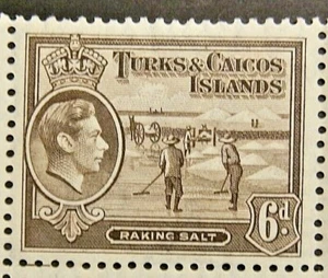 TURKS AND CAICOS ISLANDS 1945 SG201a. KGVI 6d. SEPIA - MNH - Picture 1 of 1