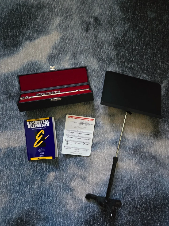 Flauta muñeca American Girl 18" en estuche, soporte de música y juego de libros Foto 1 de 1