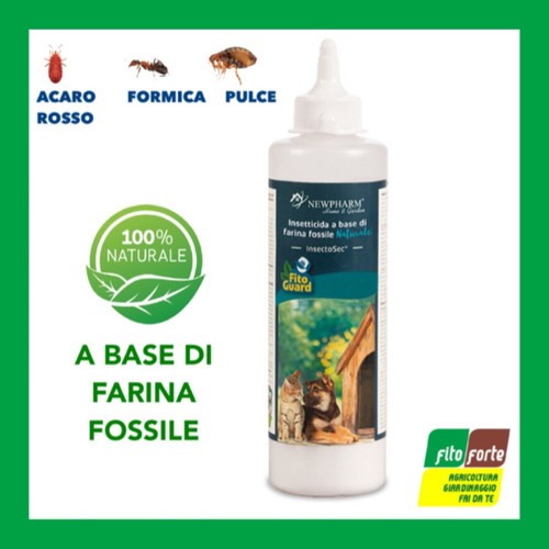 Foto 1 di 1
