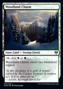 Woodland Chasm [Kaldheim] Magic MTG - Picture 1 of 1