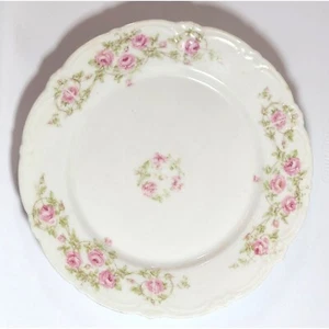 Vintage Bavaria Dinner Plate Hand Painted Twining Roses Scalloped Edges NOTE - Picture 1 of 10