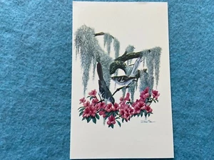 The Mockingbird Vintage Bird Postcard - Picture 1 of 2
