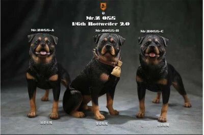 Mr.z 1:6 Scale Rottweiler Model Cute Pet Dog Animal Figure Collection Decor Gift - Image 1 of 4