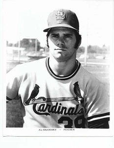 Foto de prensa de los Cardenales de San Luis AL HRABOSKY 8 x 10 1970 fotografía brillante - Imagen 1 de 1