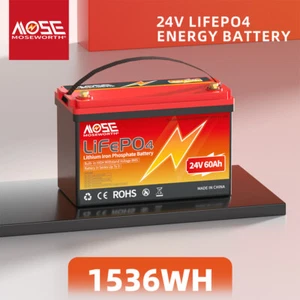 24V 60Ah Lithium LiFePO4 Battery BMS 15000+ Deep Cycle for Trolling Motor Marine - Picture 1 of 11