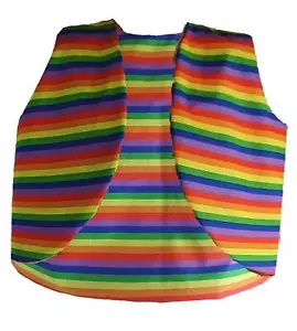 Adults Rainbow Stripe Gillet Waistcoat LGBT Pride March Festival Fancy Dress - Picture 1 of 3