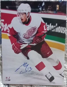 Detroit Redwings Hockey Great Pavel Datsyuk Autographed 14x11 Photo Rare #3 - Picture 1 of 4