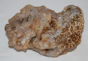 Raro Antiguo Stock Natural Áspero Espécimen Ágata Botrioidal Azul Calcedonia 1+ lb. - Imagen 1 de 10