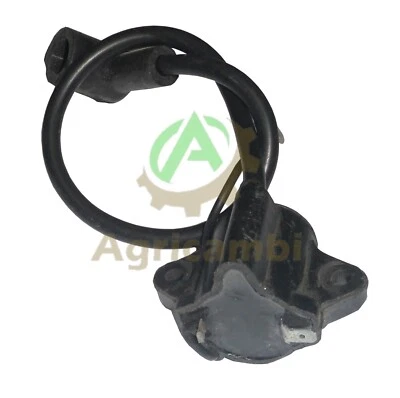 Bobina Atomizzatore Nebulizzatore 3Wf Demon Hoteche d'importazione