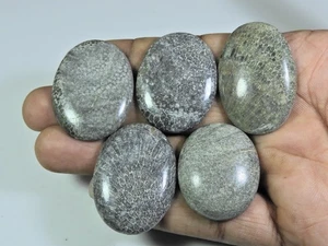 243Cts. Lote de 5 piezas de piedras preciosas sueltas cabujón ovalado coral fósil negro natural - Imagen 1 de 5