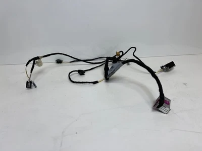 09-14 Audi R8 V8 Interior RH Right Passenger Door WireHarness 420971036E (MK) — 第 1/4 张图片