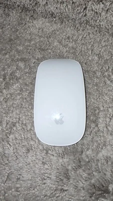 Ratón inalámbrico táctil/multitáctil Apple A1296 - MB829LL/A Foto 1 de 4