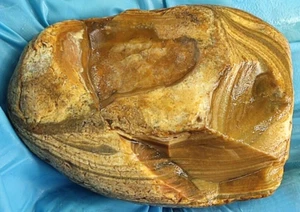 Chert Jasper Agate Specimen 100g Master Band Peeler Xmen Banded    See Video - Picture 1 of 11