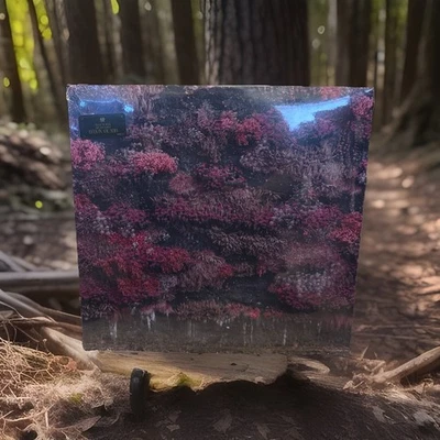 Sleep Token Even In Arcadia PISTACHIO CREAM LP (US TOUR EXCLUSIVE) SHIPS NOW! - Image 1 of 2