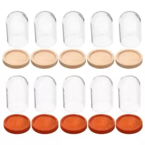 10pcs Centerpieces Cloche Glass Dome Small Display Case Miniature Display Case - Picture 1 of 12